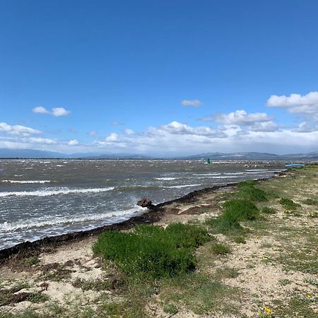 Appartement Vue Lac Marin Et Canigou Le Barcarès Екстериор снимка